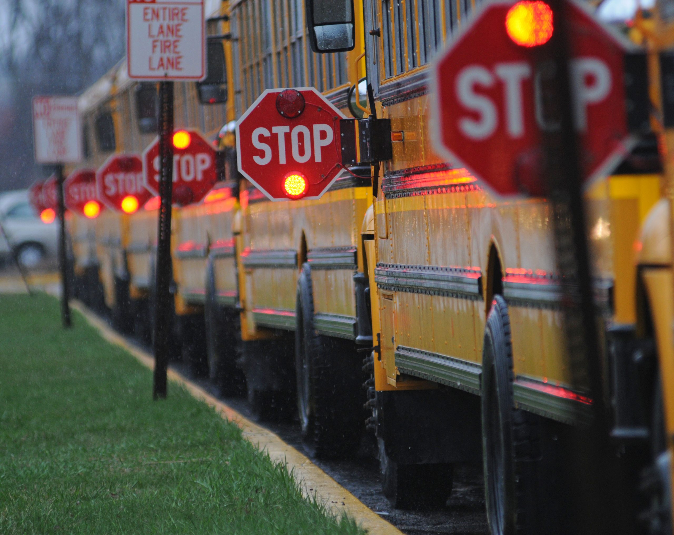 Line of school buses with Stop signs flashing.